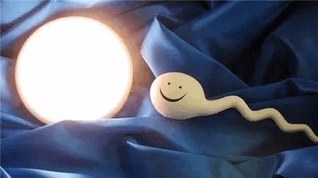 包生男孩咨询